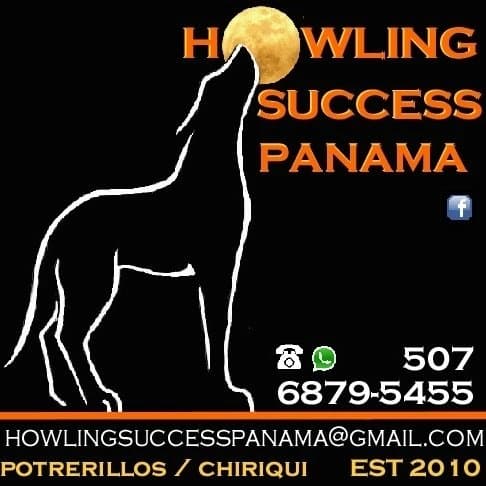 Howling Success Panama